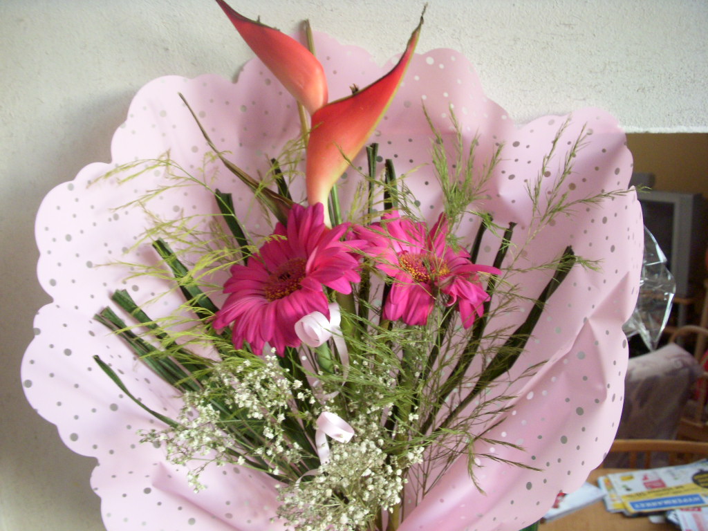 pletení říjen 005