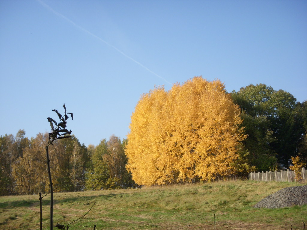 29.10.2011-procházka podzim 003